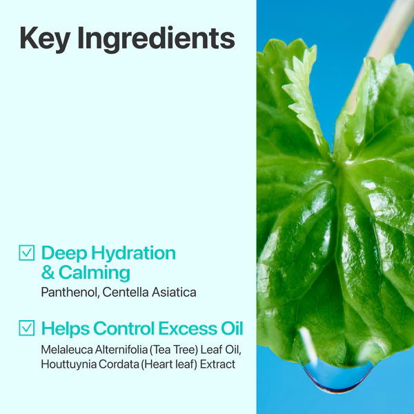 No.1 Centella Re-leaf Green Toner Pad 190ml | Numbuzin (70 Pads)
