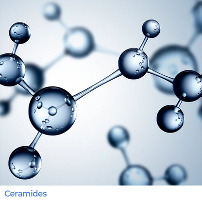 [Aestura] Atobarrier 365 Mist (120ml / 4.05 fl oz)