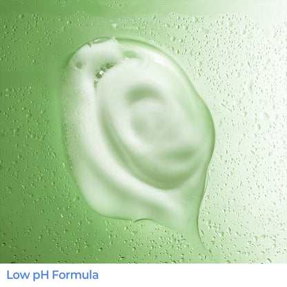 [Aestura] Atobarrier 365 Foaming Cleanser (150ml / 5.07 fl oz)