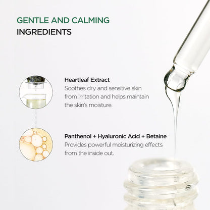 Anua Heartleaf 80% Soothing Ampoule 30ml